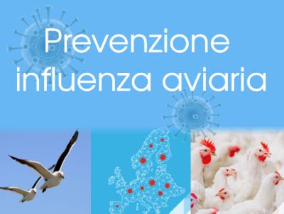 Prevenzione influenza aviaria foto 