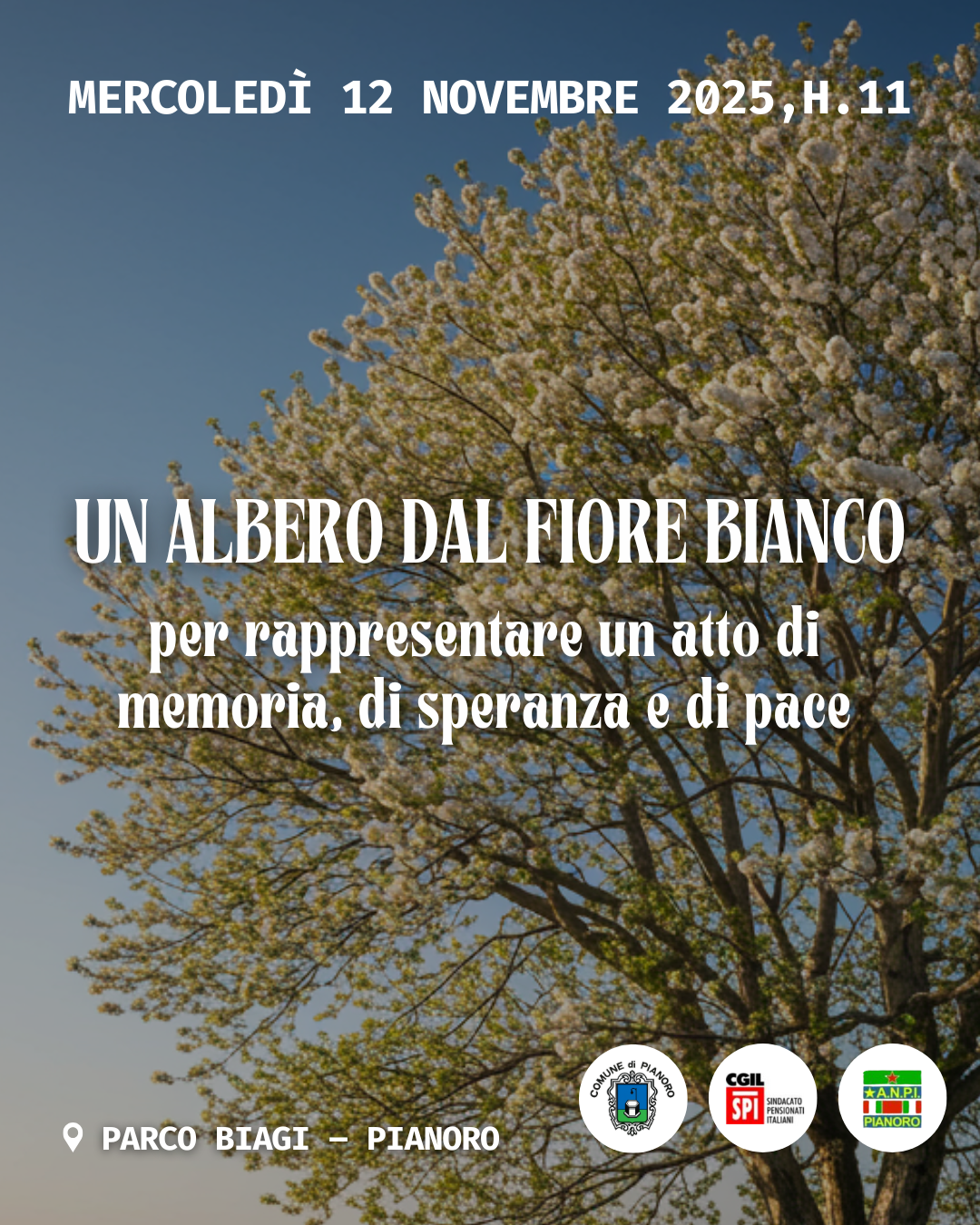 Un albero dal fiore bianco